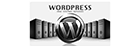 wordpress-hosting-in-turkey